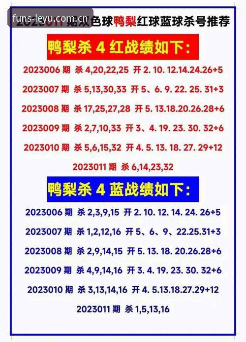 乐鱼体育2025新版安装与版本更新完整指南：从下载到使用的全流程解析